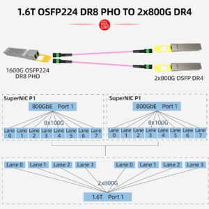 MPO Patch Cables